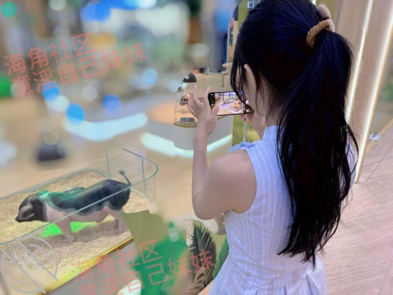 【原创内容72】心情不好，陪妹妹逛街，去宠物馆-QXSQ