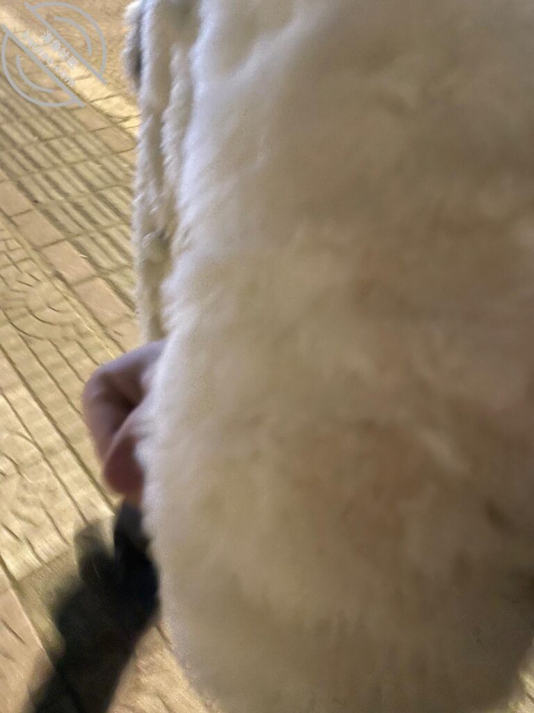 妈妈来看我了-爱母小生社区-妈妈-QXSQ