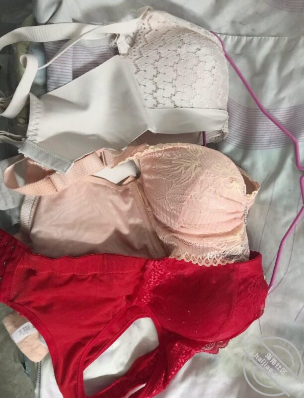 2 老妈前脚刚走，我就穿上她的豹纹内裤，打飞机-QXSQ