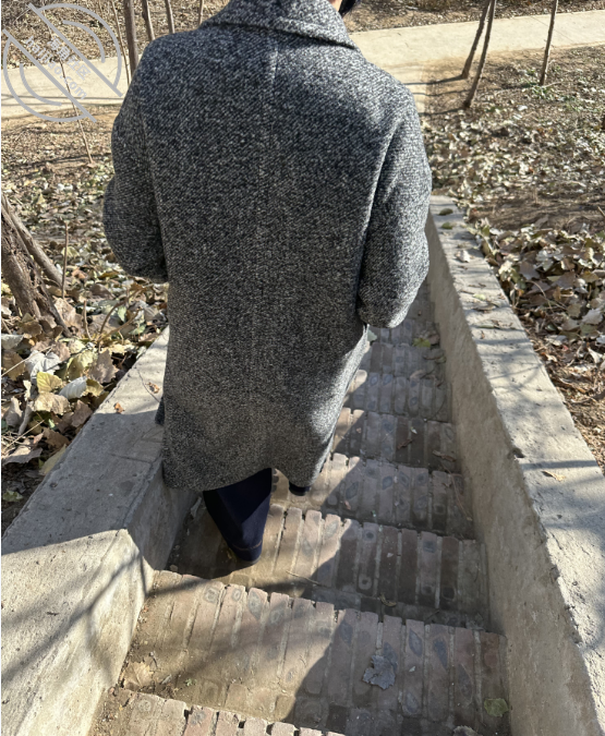 记录（1 ）从今天开始，我也要实施一个上母计划-QXSQ