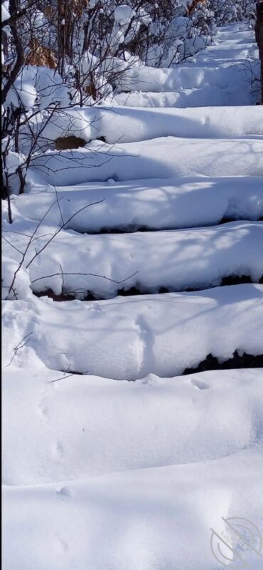 【真实原创】137、瑞雪兆丰年，祝大哥们蛇年大吉大利，发大财-QXSQ