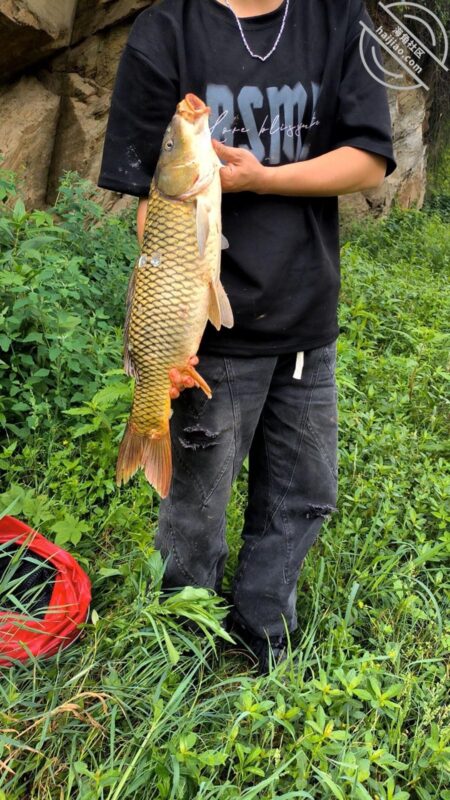 【海角原创】189天天五点起床去钓鱼也是没谁了，姐姐的好利来制服可还行？-QXSQ